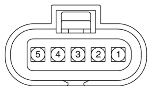 G13155715