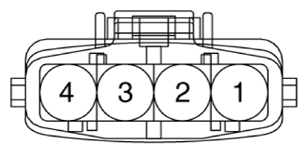 G13155719