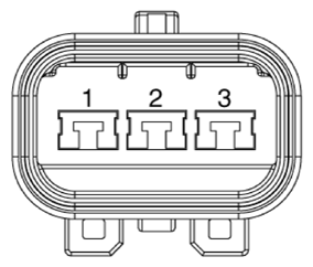 G13155765