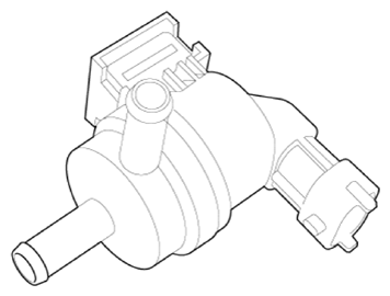 G13155781