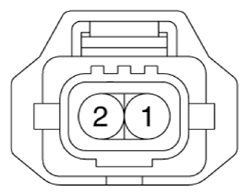 G13155794
