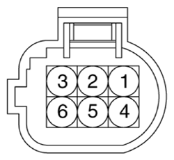 G13155798