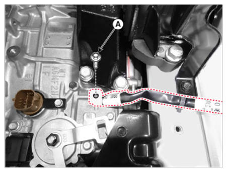 G13156175