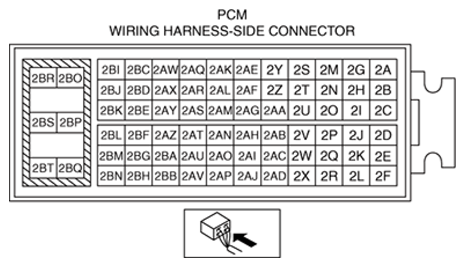 G13173653