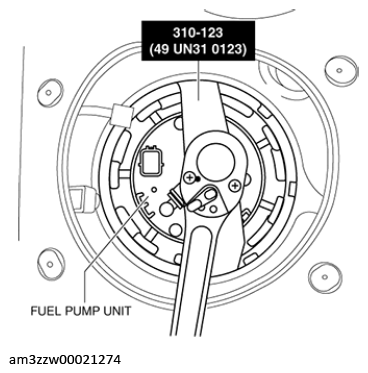 G13175069