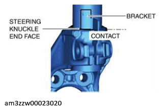 G13175663