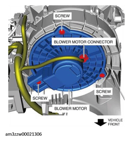 G13177385