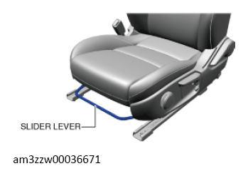 G13178823