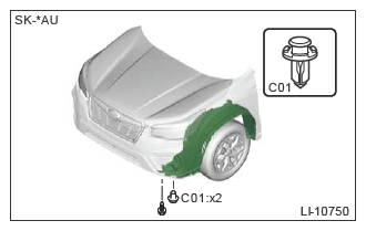 G13226398