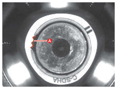 G13304341