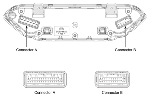 G13306495