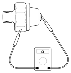 G13306836
