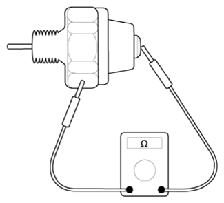 G13306837