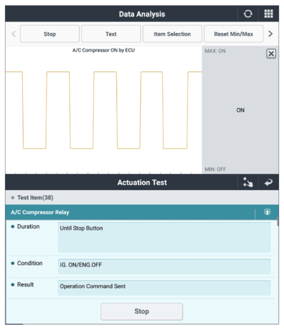 G13334784
