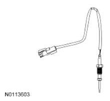 G13343501