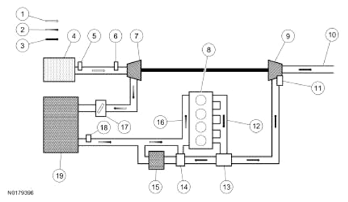G13343585