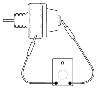 G13348459