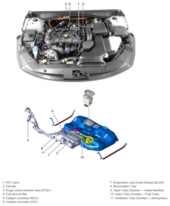 G13361580