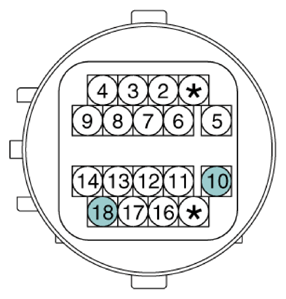 G13362083