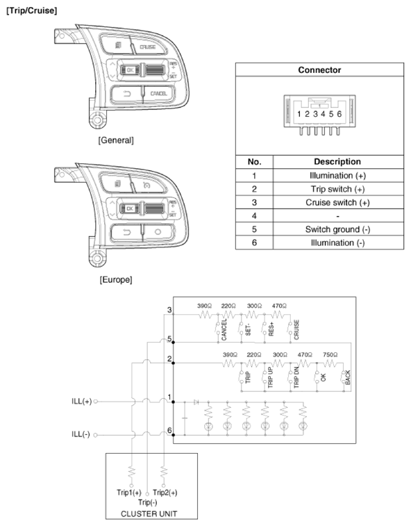 G13387823