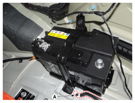 G13387863