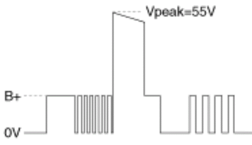 G13388029