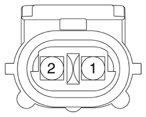 G13388075