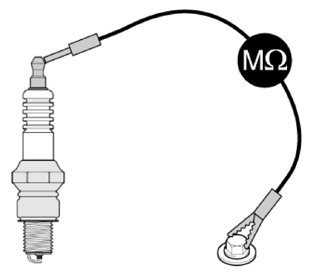 G13412181
