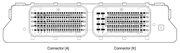 G13412481