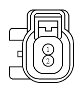 G13419169