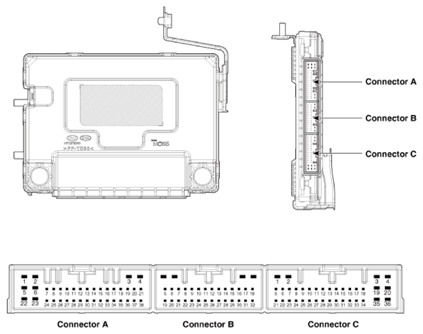 G13426495