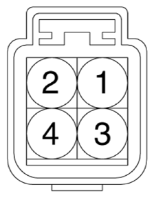 G13428181