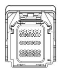 G13431498