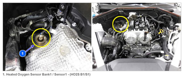 G13431828