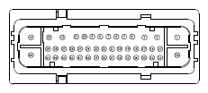 G13435493