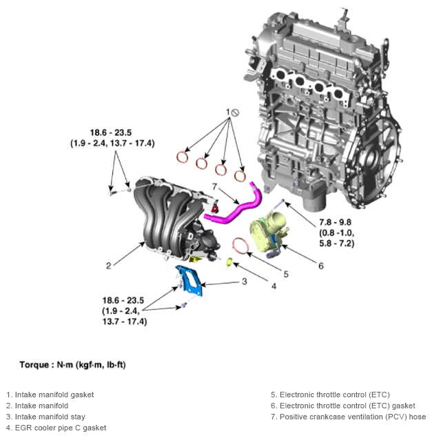 G13436248