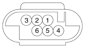 G13436544
