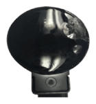 G13482153