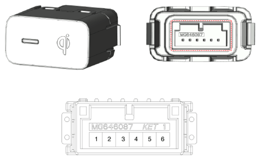 G13486639