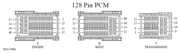 G13533389