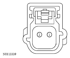 G13533478