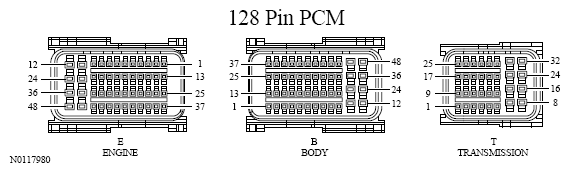 G13533479