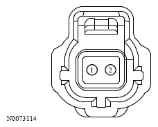 G13533597