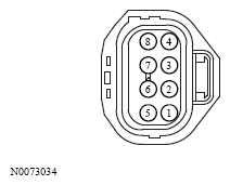 G13533607