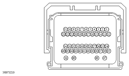 G13533660