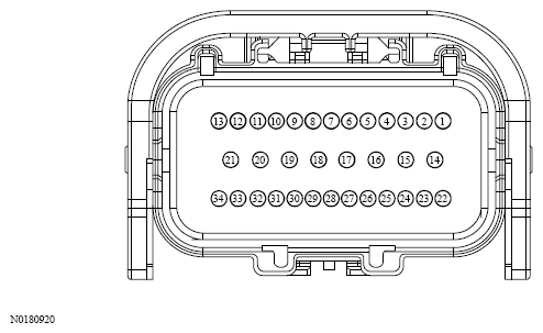 G13533681