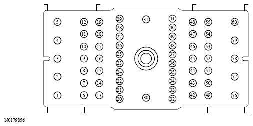 G13533689
