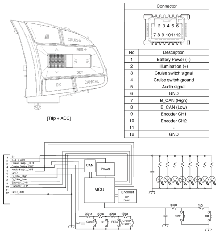 G13539194