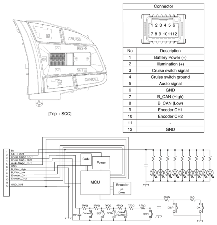 G13539195
