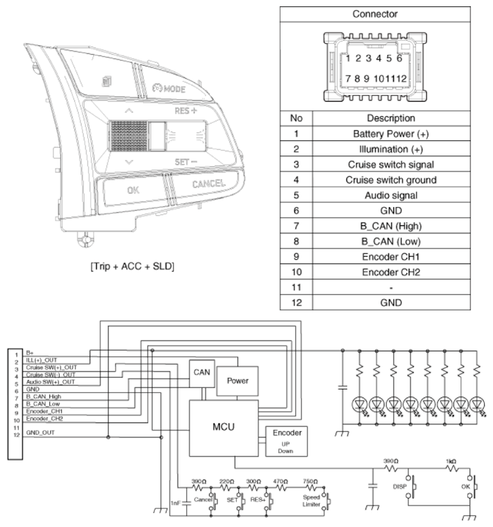 G13539196